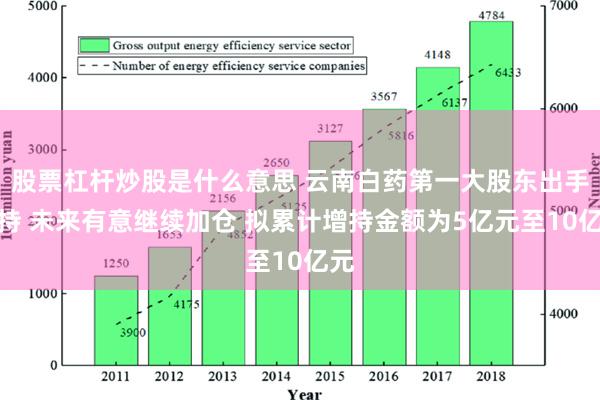 股票杠杆炒股是什么意思 云南白药第一大股东出手增持 未来有意继续加仓 拟累计增持金额为5亿元至10亿元