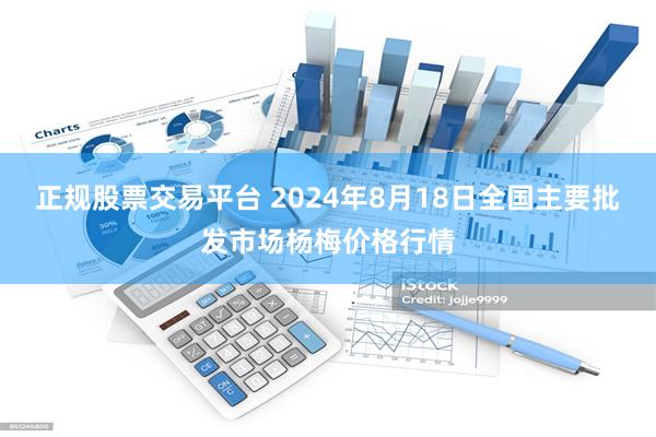 正规股票交易平台 2024年8月18日全国主要批发市场杨梅价格行情