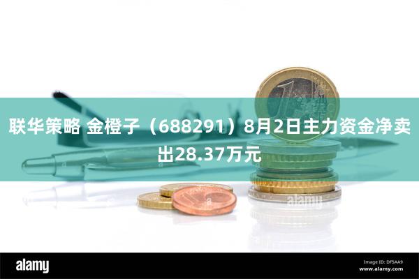 联华策略 金橙子（688291）8月2日主力资金净卖出28.37万元