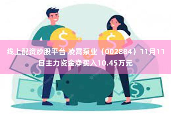 线上配资炒股平台 凌霄泵业（002884）11月11日主力资金净买入10.45万元