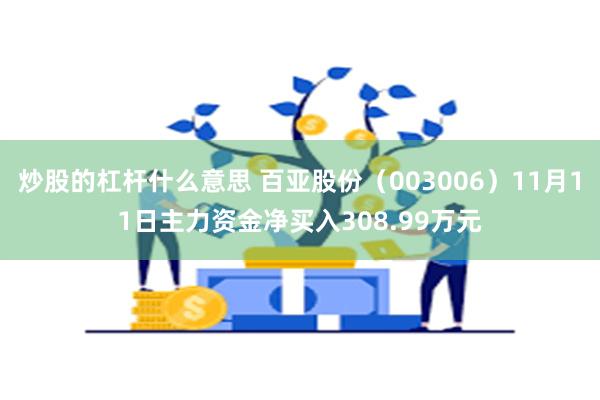 炒股的杠杆什么意思 百亚股份（003006）11月11日主力资金净买入308.99万元