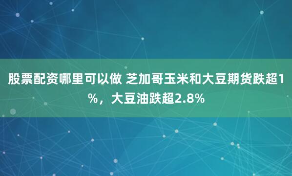 股票配资哪里可以做 芝加哥玉米和大豆期货跌超1%，大豆油跌超2.8%