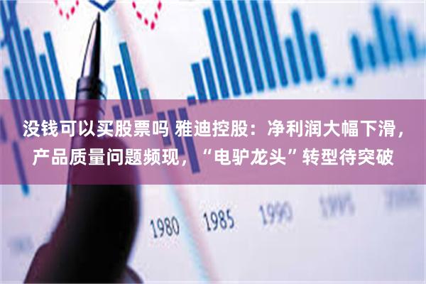 没钱可以买股票吗 雅迪控股：净利润大幅下滑，产品质量问题频现，“电驴龙头”转型待突破