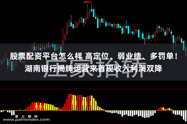 股票配资平台怎么样 高定位、弱业绩、多罚单！湖南银行揭牌运营来首现收入利润双降