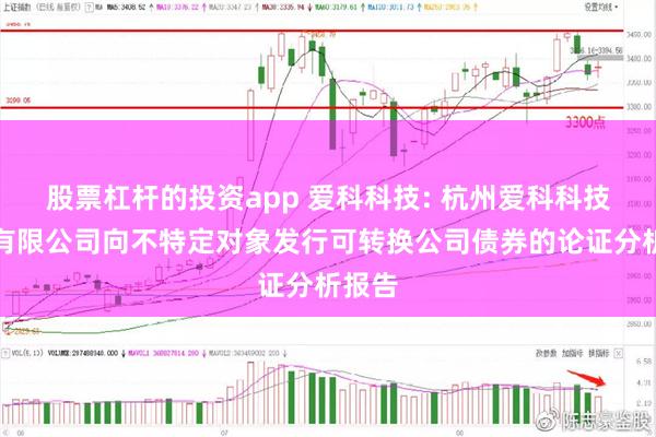 股票杠杆的投资app 爱科科技: 杭州爱科科技股份有限公司向不特定对象发行可转换公司债券的论证分析报告
