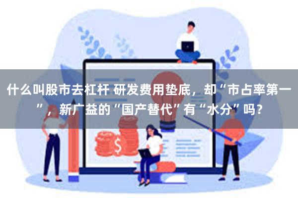 什么叫股市去杠杆 研发费用垫底，却“市占率第一”，新广益的“国产替代”有“水分”吗？